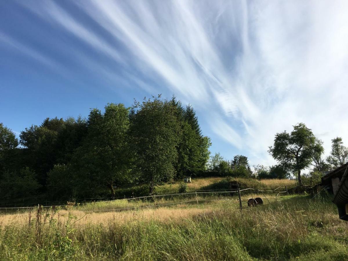 La Ferme Des Potets Villa Fresse Bagian luar foto